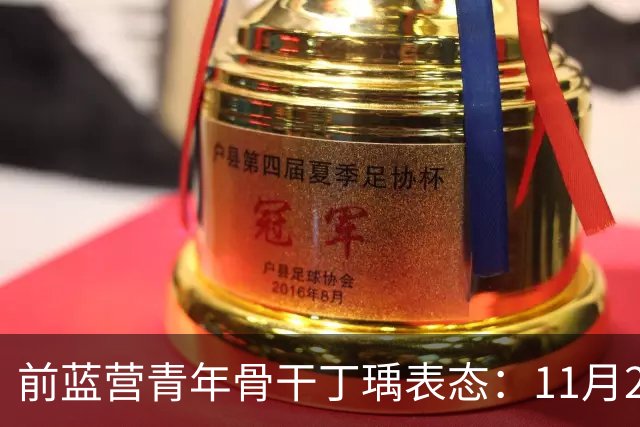 前蓝营青年骨干丁瑀表态：11月28日票投沈伯洋，痛批蒋万安该退休